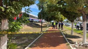 torununu kurtarmak isterken tren carpti Ru52zWf9.jpg